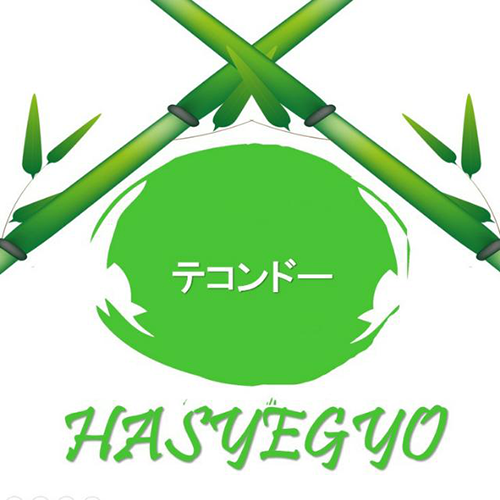 Taekwondo Indonesia Dojang hasyegyo ti-hasyegyo.com